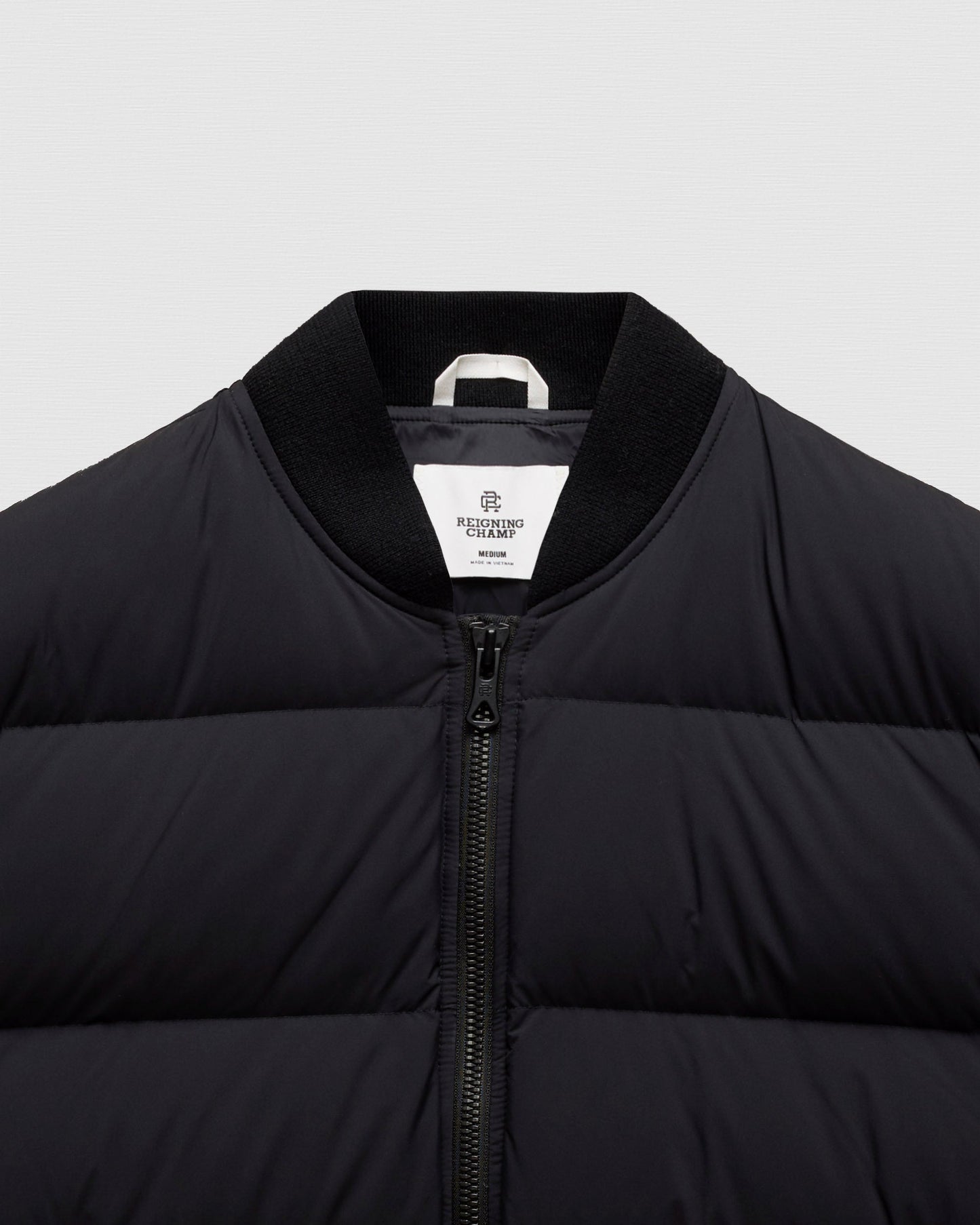 Matte Ripstop Forum Down Jacket